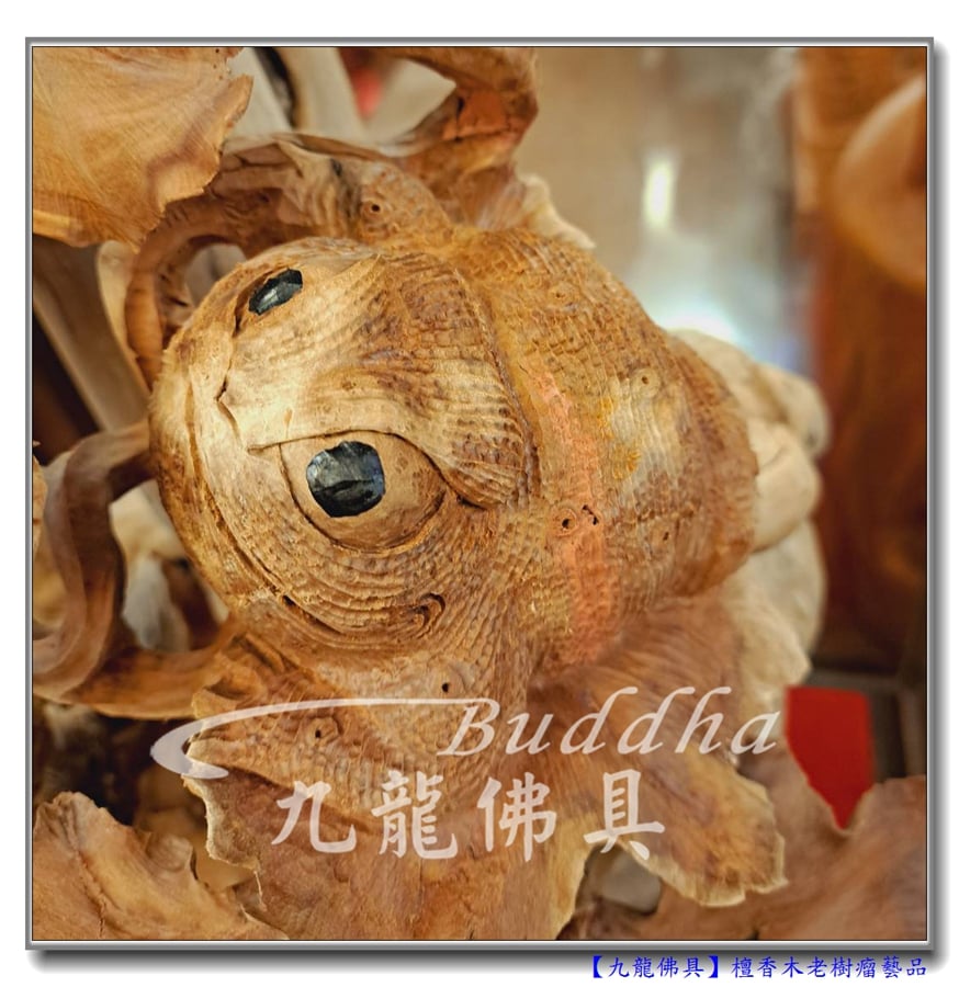 You are currently viewing 【檀香木老瘤根藝品】瓜迭延祥。攀蟾折桂~可當擺飾裝置 雅賞鎮宅